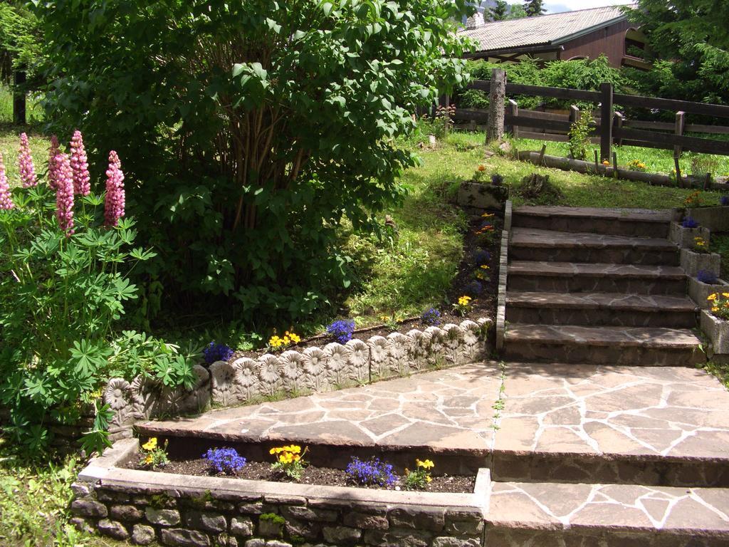 Apartamento Mountain Chalet Cime D'Auta Dolomiti Falcade Exterior foto